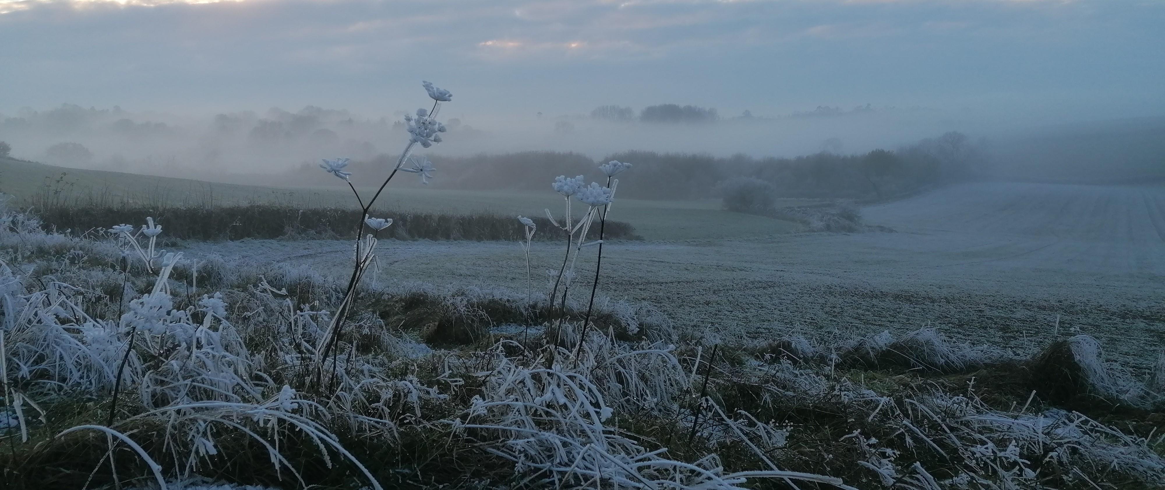 Winter 4000x1682